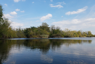 Escape to Nature's Playground: Weinberg-King State Fish & Wildlife Area